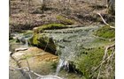 Property photo 34 - 137 Acres in 2 Tracts - 64 Tillable Acres, Potential Building Sites, Hunting